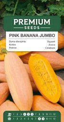 Pumpkin Pink Banana Jumbo Seed.